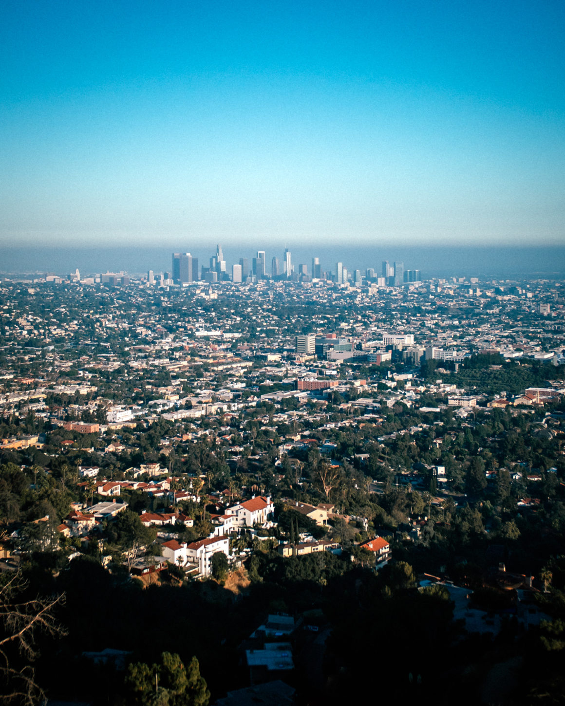 Los Angeles As A Digital Nomad (How I Survived LA) 15
