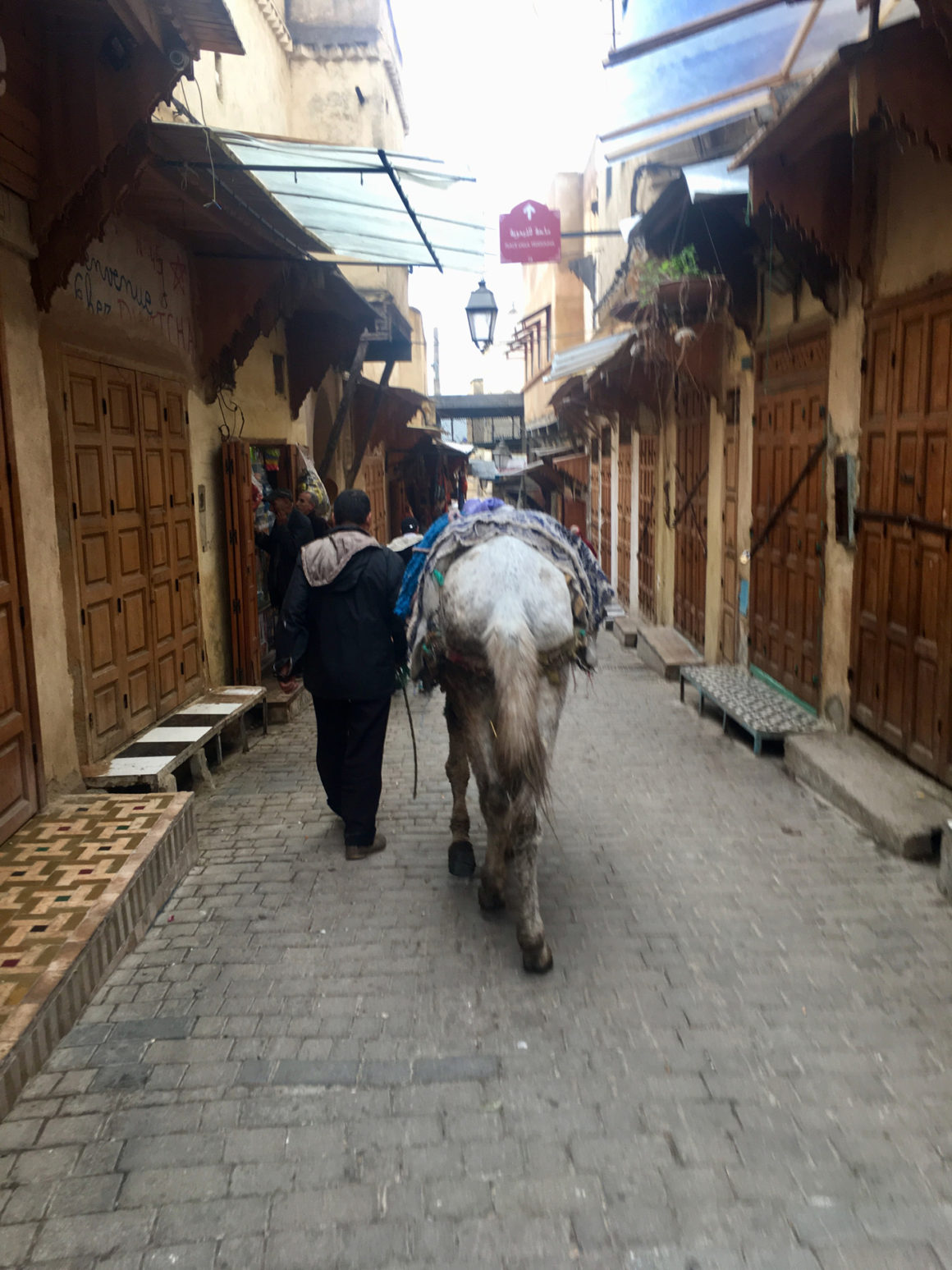 Digital Nomad in Morocco: The Remote Working Guide 5