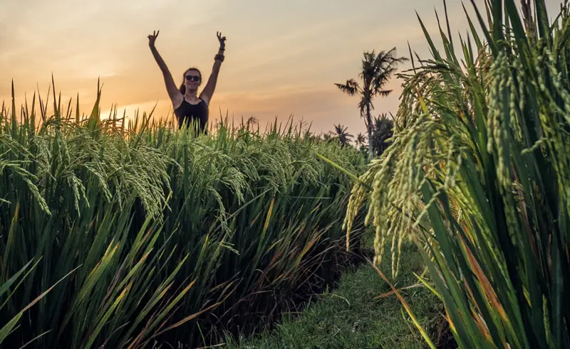 Why Canggu is Perfect for Digital Nomads