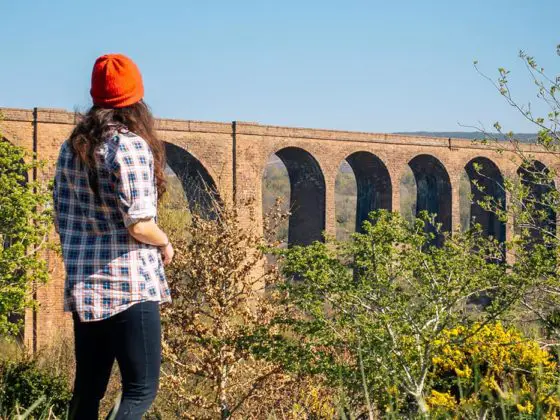 Culloden Viaduct