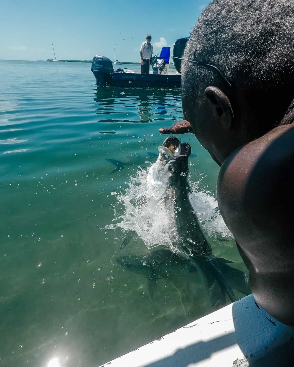 The Wildlife in Caye Caulker