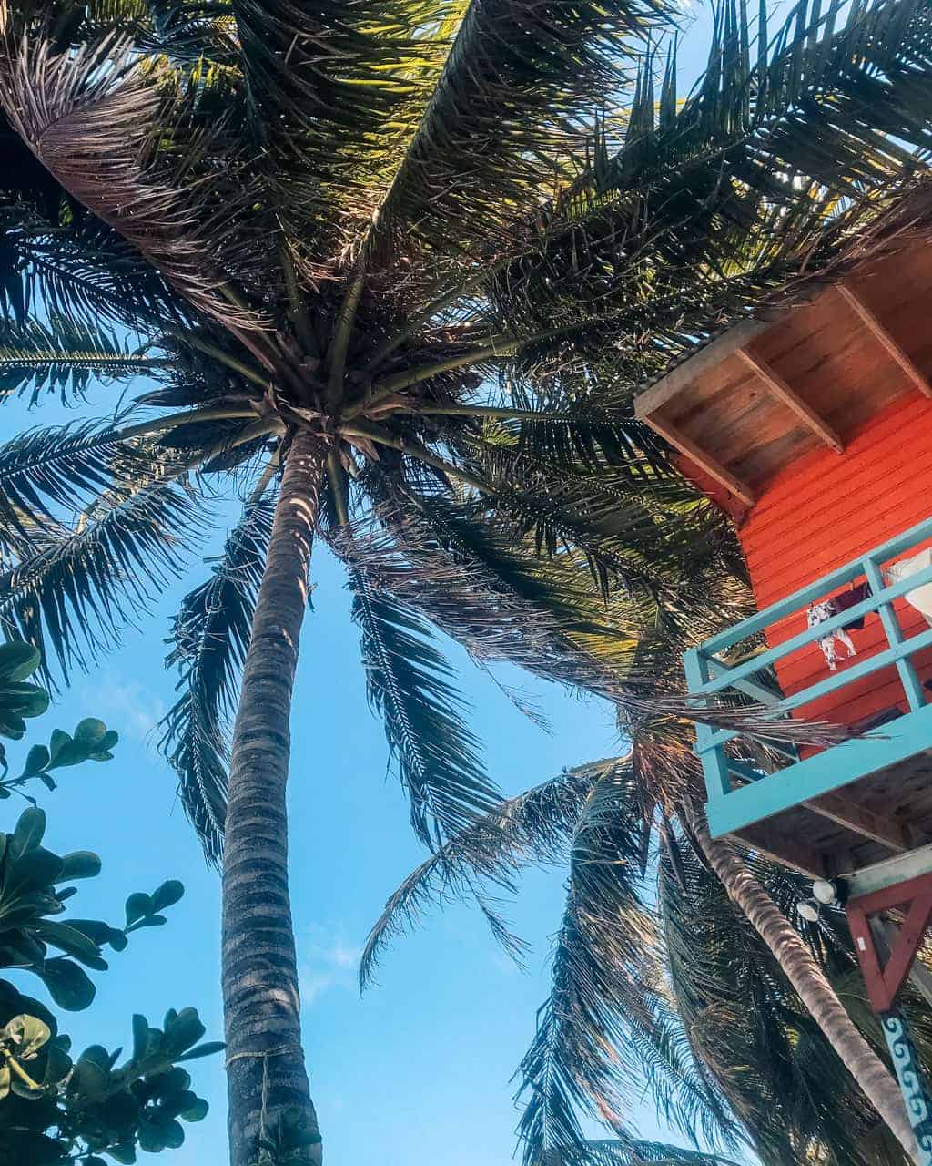 Caye Caulker for Digital Nomads: Working Remotely in Belize 46