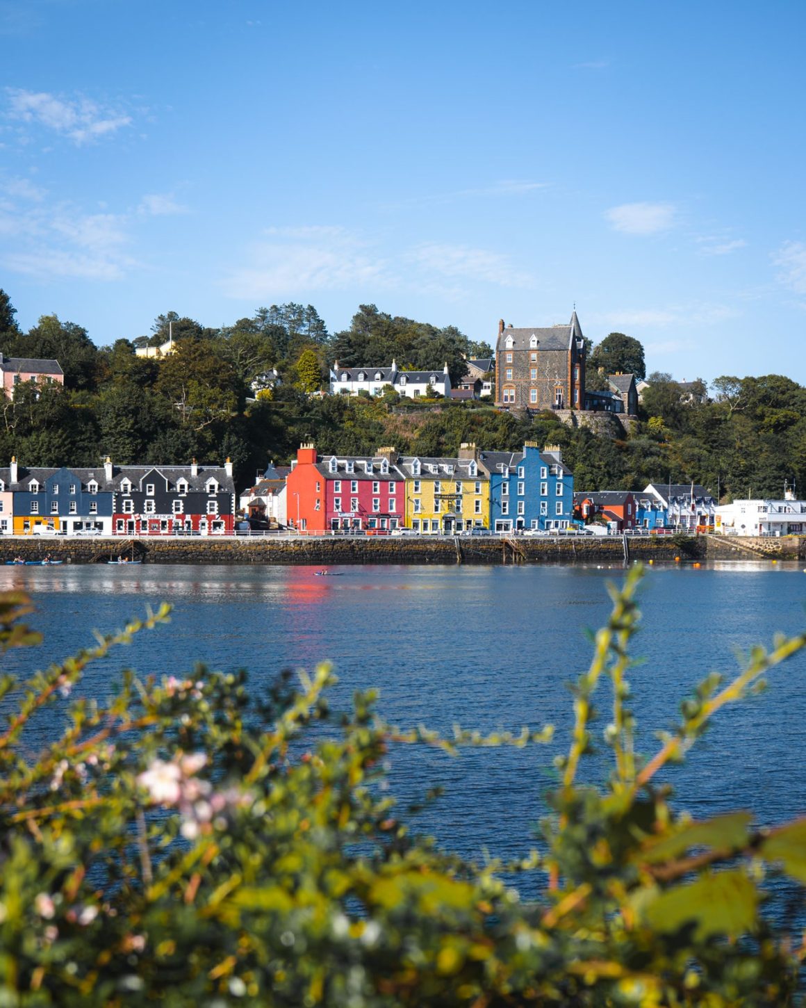 Isle of Mull Information: Things To Do & Where To Stay 16