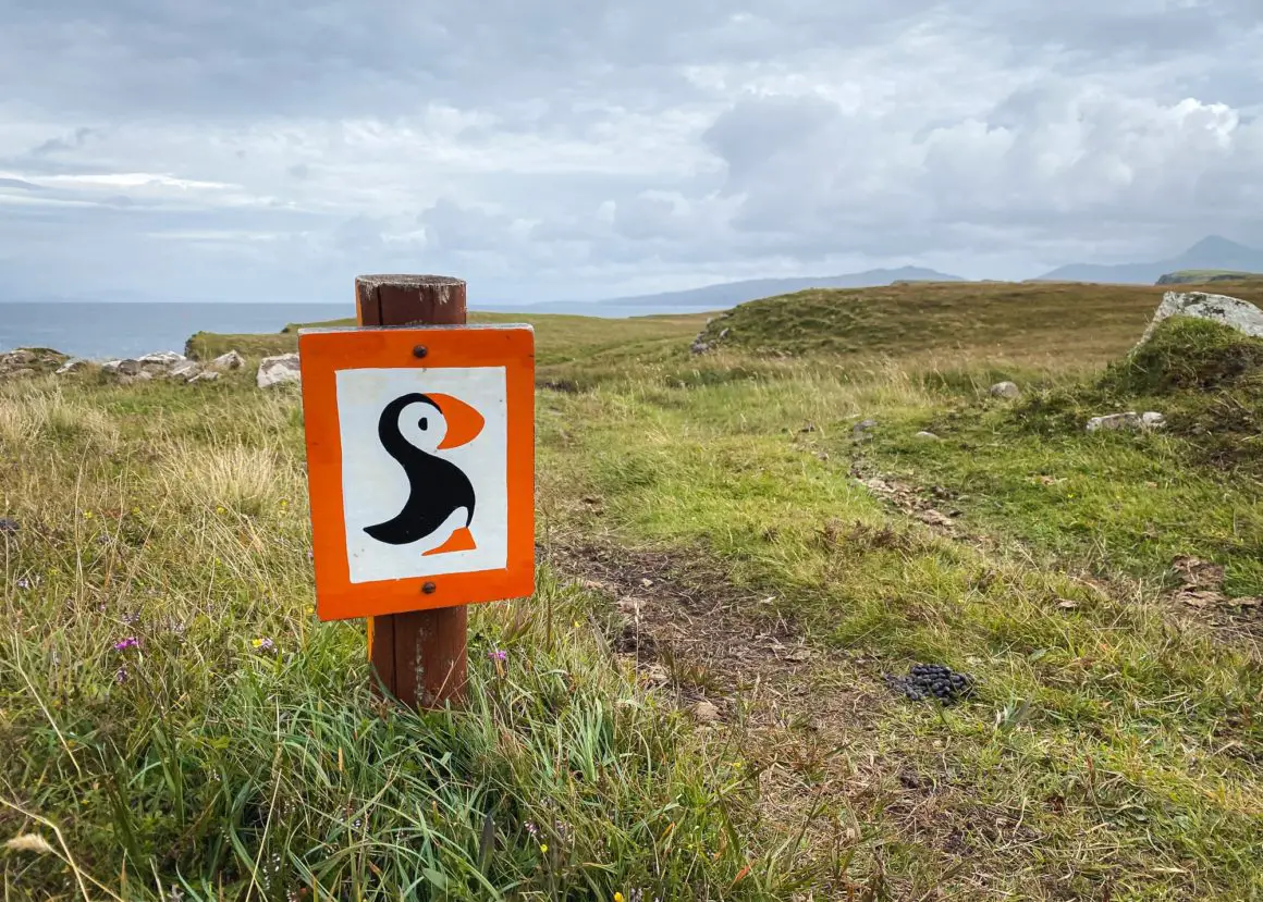 Puffin Walk on the Isle of Canna