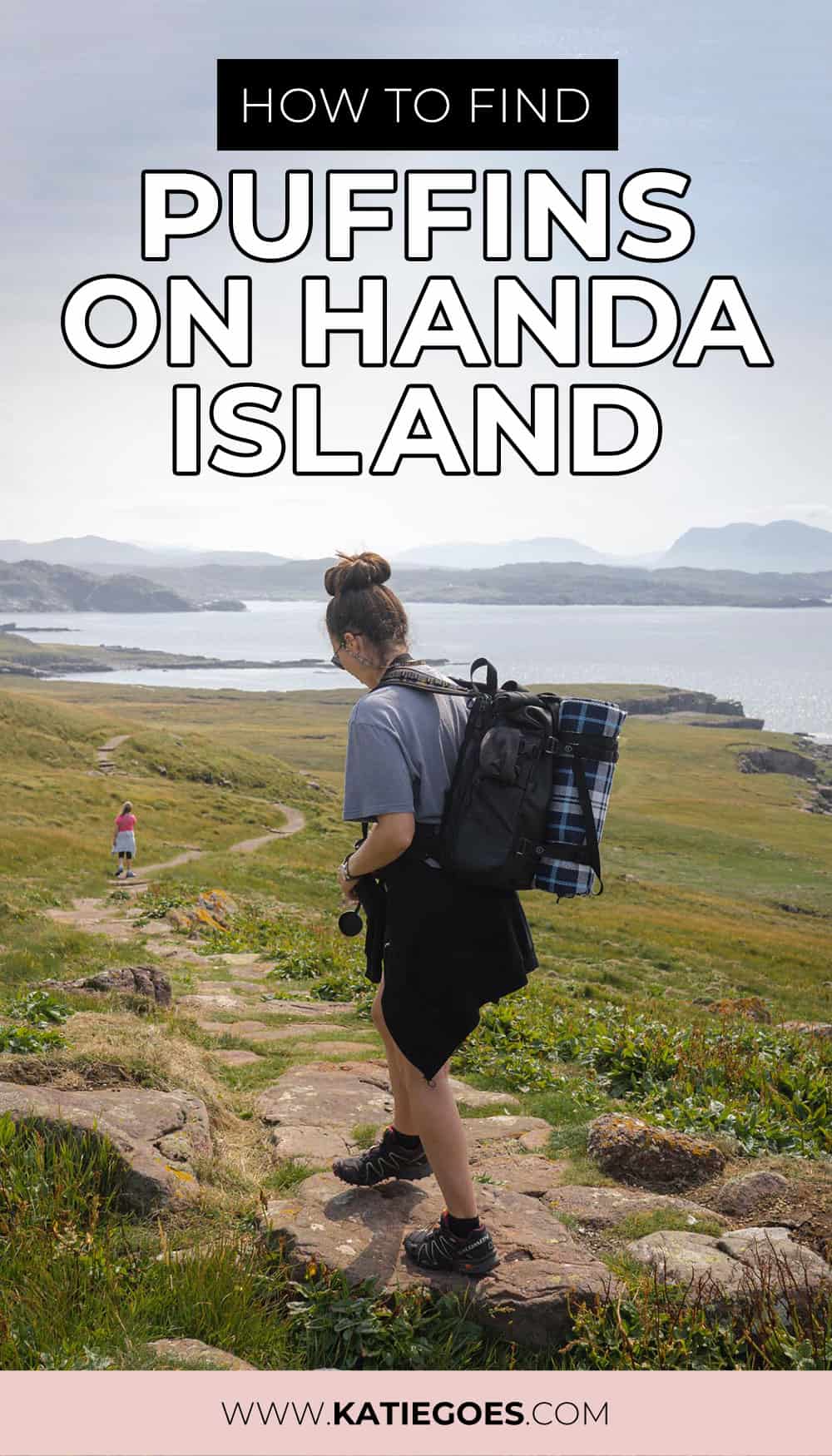 How to Find Puffins on Handa Island