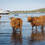 Isle of Mull
