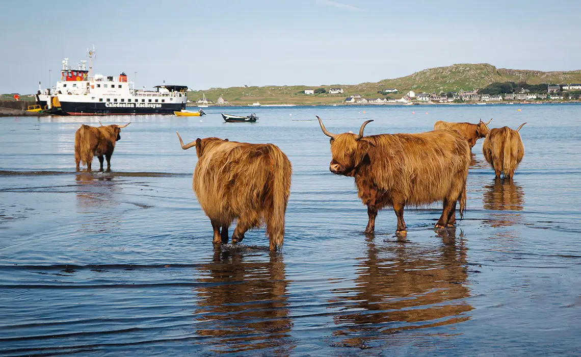 Isle of Mull