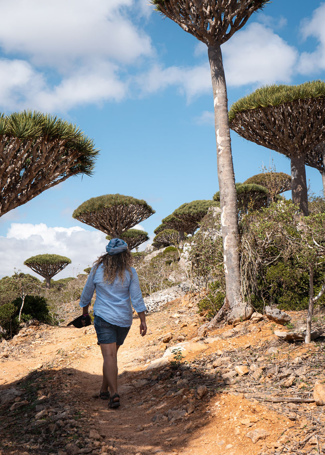 The 13 BEST Things to See on Socotra Island 25
