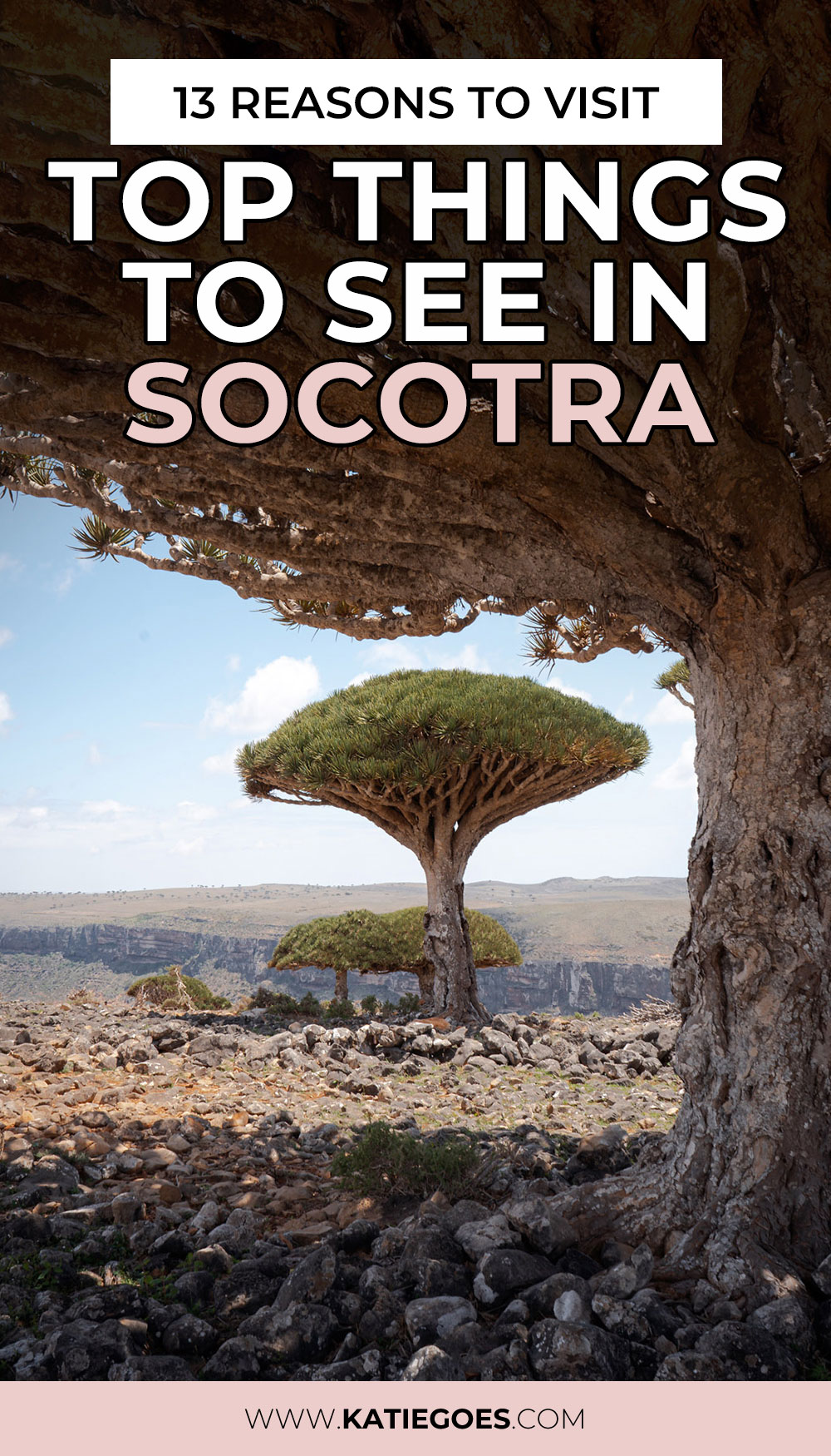 13 Reasons to Visit: Best Things to See in Socotra