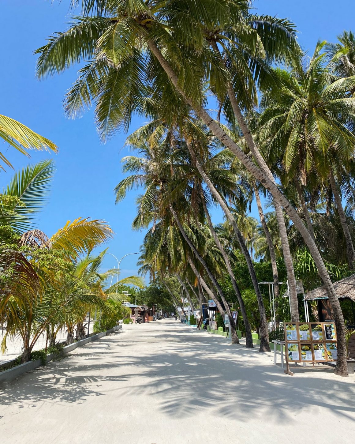 How YOU can Work from The Maldives: Maafushi for Digital Nomads 11