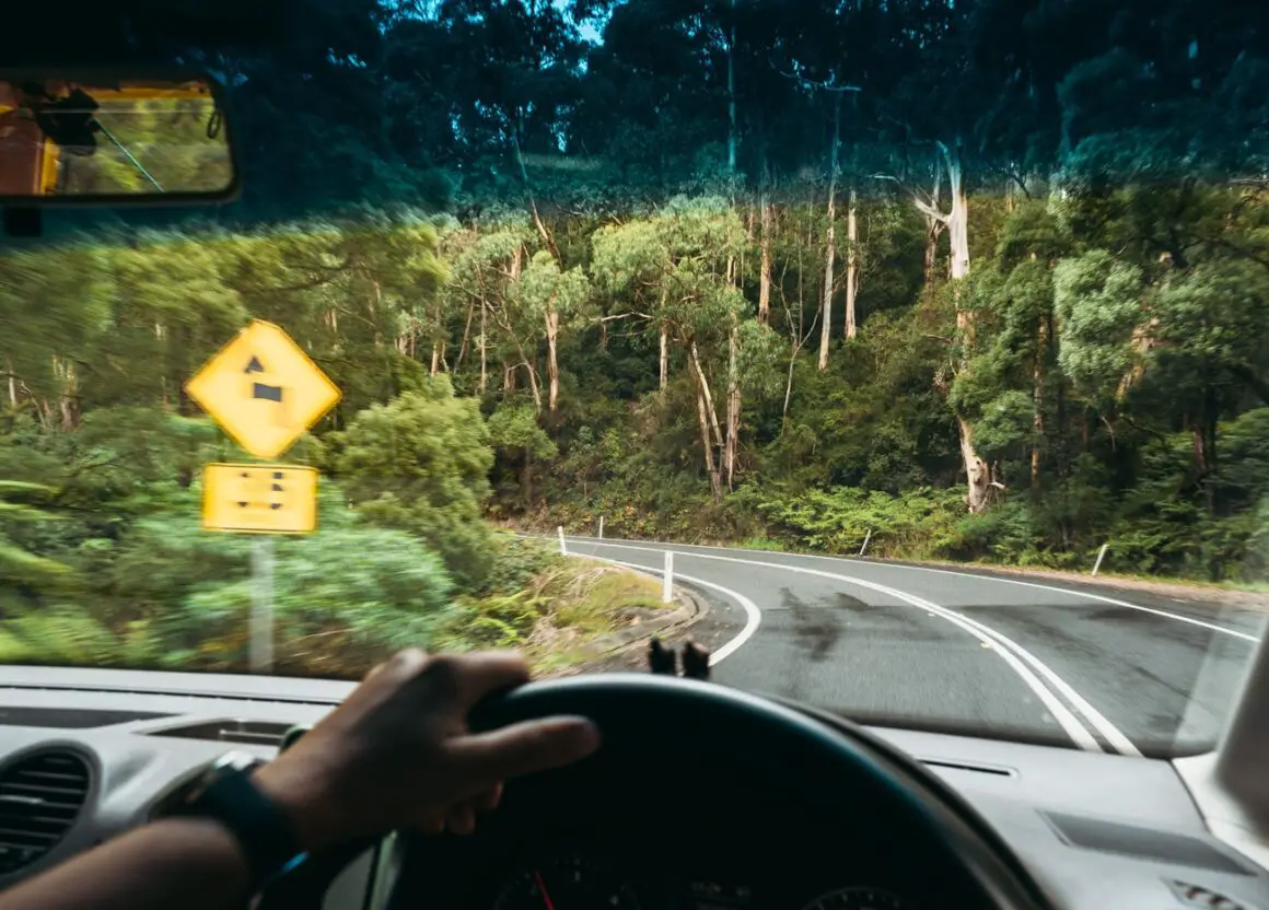 Driving through the Great Otway National Park on the Great Ocean Road