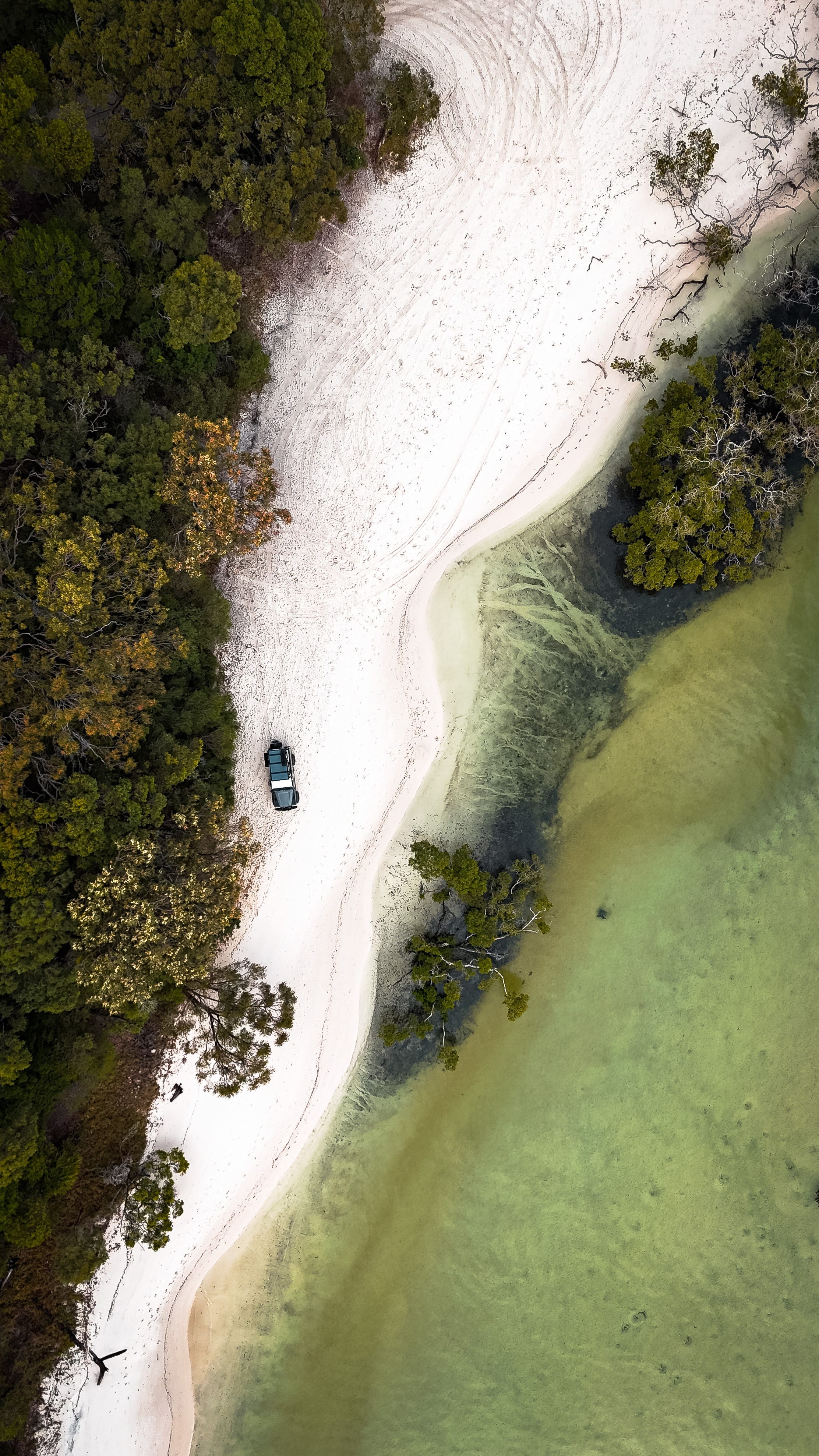 How to Travel Fraser Island: Your Essential Guide to K'gari 19